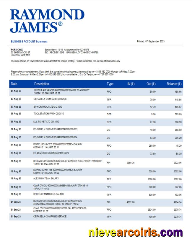Raymond James Bank organization statement